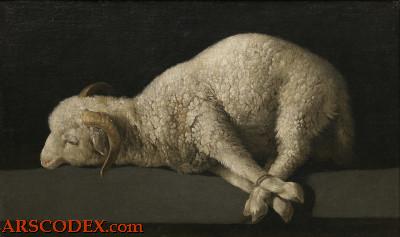Agnus Dei by Zurbarán oil painting