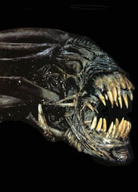 Alien